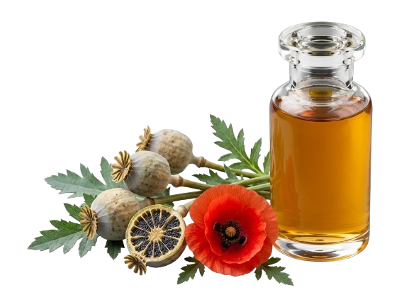 روغن خشخاش