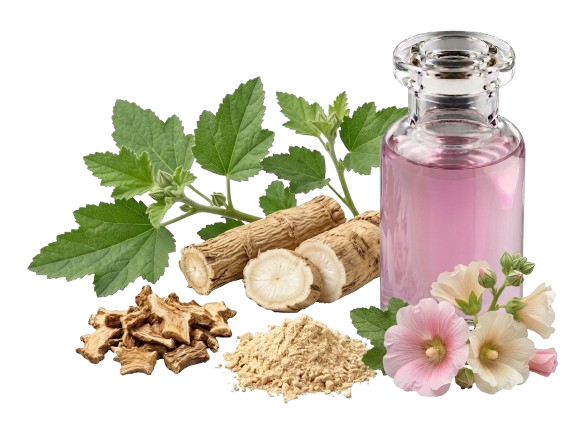 عصاره گل ختمی -PG